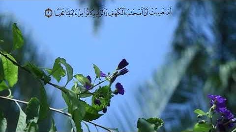 سوره الكهف بصوت نعمه الحسان/حالات واتس اب