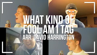 What Kind of Fool Am I (Barbershop Tag)