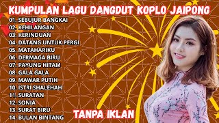 Download Lagu KUMPULAN LAGU DANGDUT KOPLO JAIPONG TERBARU 2025 | SEBUJUR BANGKAI, DATANG UNTUK PERGI MP3 Download Lagu KUMPULAN LAGU DANGDUT KOPLO JAIPONG TERBARU 2025 | SEBUJUR BANGKAI, DATANG UNTUK PERGI MP3
