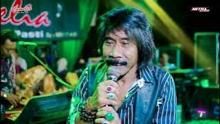 CAMELIA MUSIC - TANAMOR - LUKITO - KHITAN FIKRI HAIKAL - PETEKEYAN JEPARA