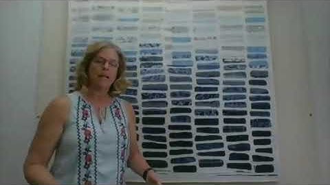 Go Tell It at the Quilt Show! interview with Sara Bradshaw