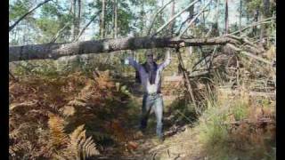 Escapade dans les Landes