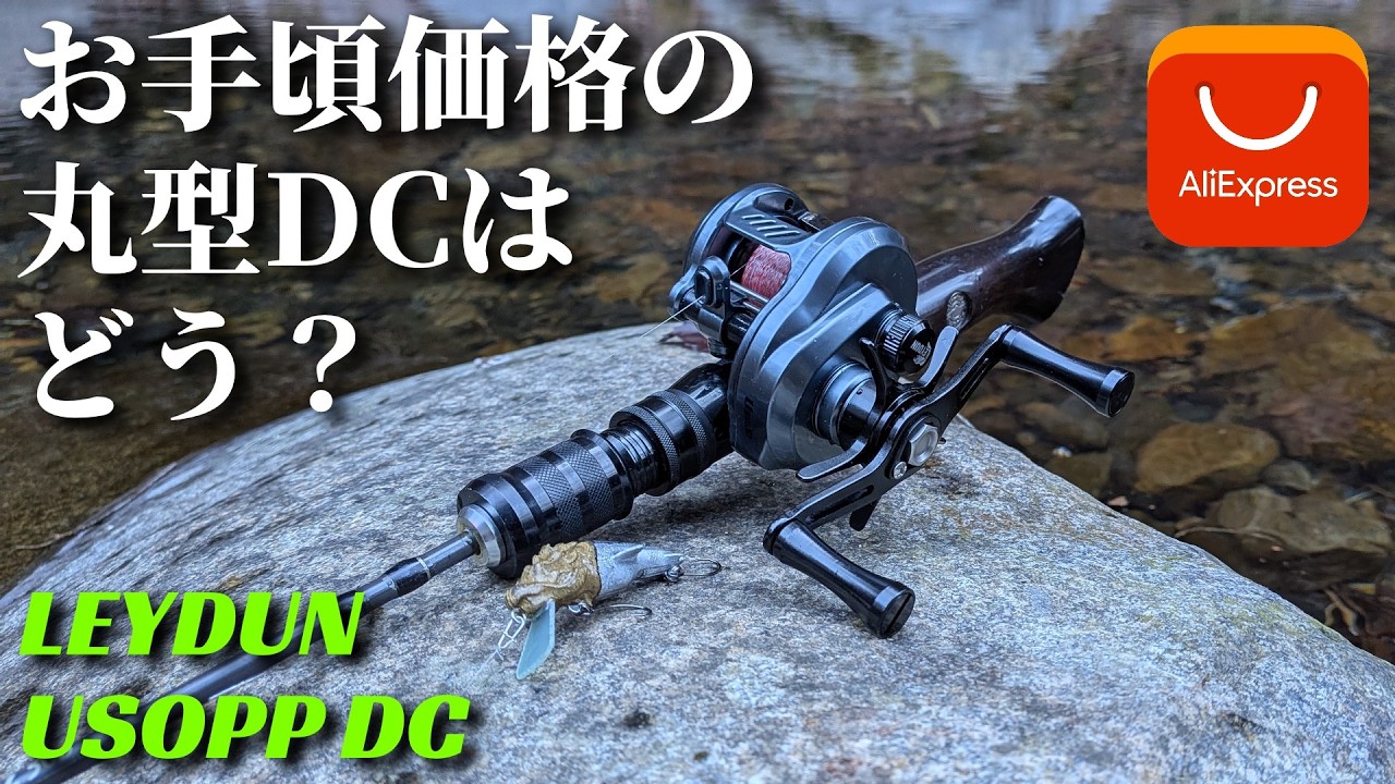 ア*ス様 LEYDUN DC搭載 USOPP 左巻き レイダン ウソップ Leydun Usopp DC 左巻き｜Yahoo!フリマ（旧PayPay