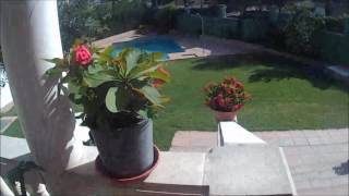 CHALET EN ALQUILER EN EL SANTISCAL