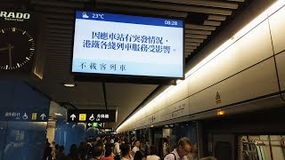 港鐵 ISL M-train A147/A144 金鐘站清客 MTR trains terminate at Admiralty