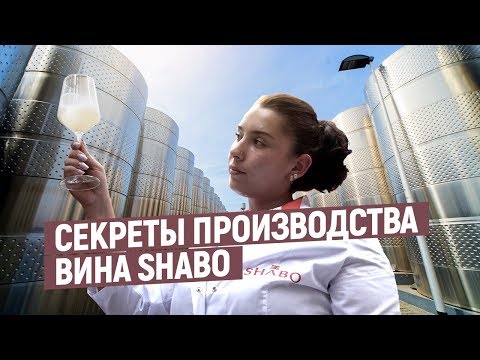 Шабо. Производство вина Шабо | Этапы, емкости, дегустация #шабо | Экскурсия по Шабо