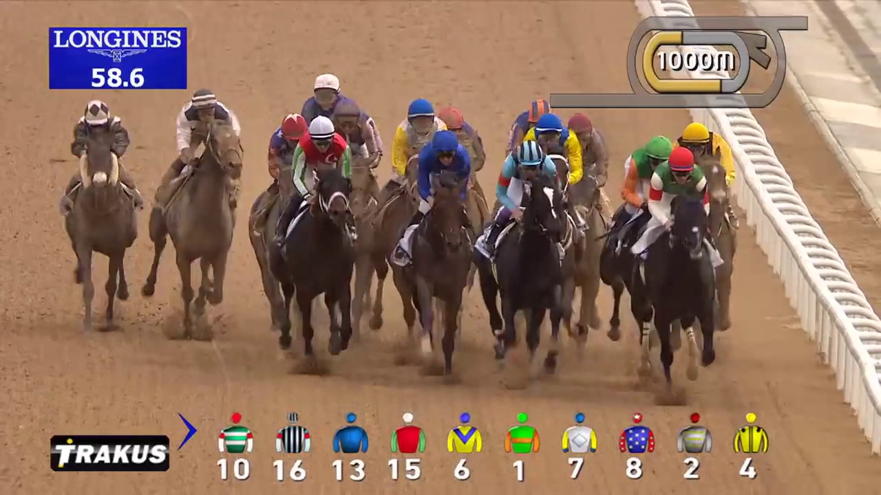 DWC 2016 Race 4 - UAE Derby Sponsored By The Saeed & Mohammed Al Naboodah Group