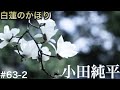 小田純平/白蓮のかほり 弾き語り