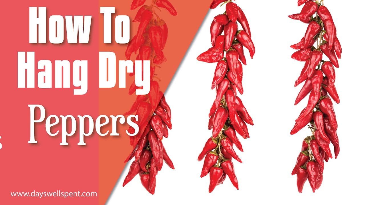 How to string and hang dry peppers - YouTube