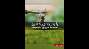اجمل حالات الواتس🍃💚 || سورة النمل "🎙 القارئ : اسلام صبحي" حالات واتس دينية