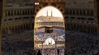 Masha, Allah Cute Maxico Plush Dancing Cactus Electric Plush Toy