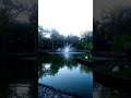 Озеро ( парк Горького, Харьков)