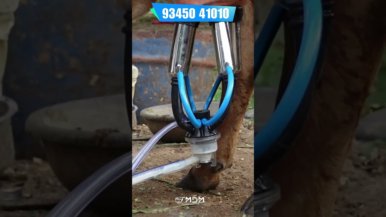 Top Quality Electric Milking Machine For Cows Buffalo 