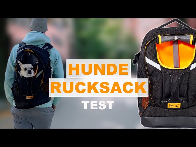 Hunderucksack im Test von Schleppo (Rucksack für Hunde bis 9 kg im Test) -  YouTube