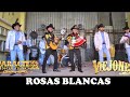 Rosas Blancas  Los Viejones de Linares feat Carácter Norteño