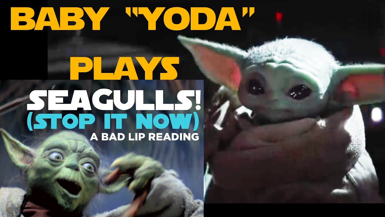 yoda and the seagulls