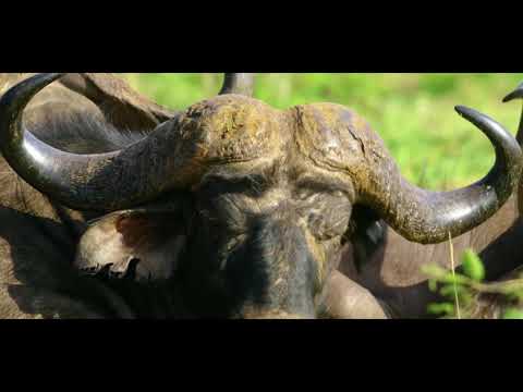 Rediscover The Magic at Mt. Kenya National Park