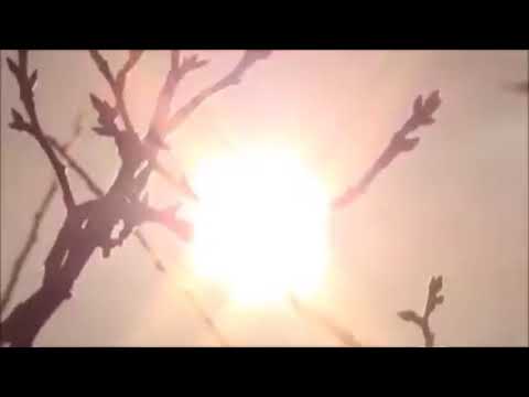 დები ლოლაშვილები  წამიყვანე მასთან