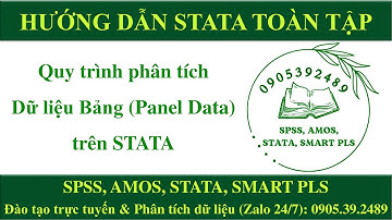 #STATA | Quy trình phân tích Dữ liệu Bảng (Panel Data) trên STATA 20072024 | Ngô Đức Chiến
