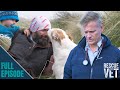 Saying goodbye to rescue dog who saved war heros life  rescue vet with dr scott miller