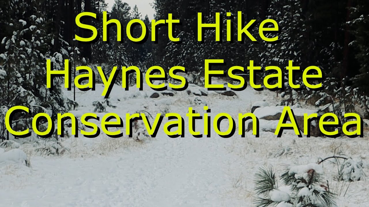 Virtual Hike of the Haynes Estate Conservation Area, Spokane County Washington YouTube