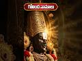 ఒక్కసారి గోవింద నామాలు వినండి… ఈ అద్భుత ఫలితాలు మీకోసం! | Govinda Namalu - Promo | Lord Venkateswara
