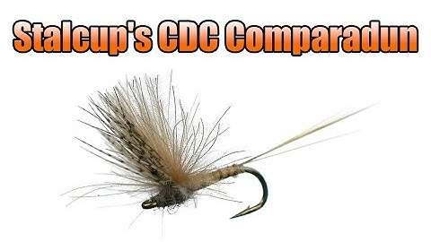 Stalcup