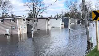 Wolf River Flooding Fremont Wi Wolf at highest recorded level 2026