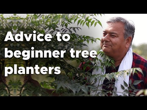 Advice to beginner tree planters | Peepal Baba