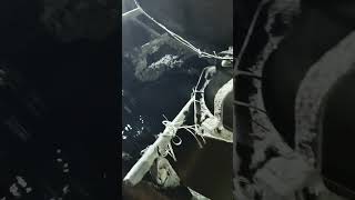 Plastic dana making process #mayurbrand #matiscolortech #metalizing #plasticgranules