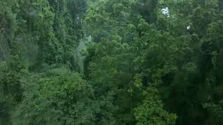 HARD RAIN