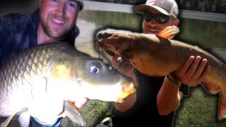 How to Catch Carp AND Catfish! - (ANYONE CAN DO IT!) - Episode 73