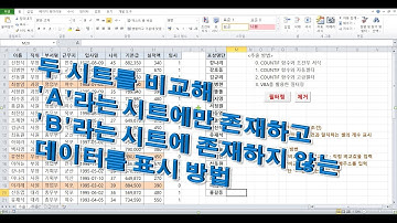 실무 엑셀] COUNTIF 함수를 활용한 조건부 서식 및 필터