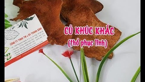 Củ Khúc Khắc (Thổ Phục Linh)  | Công dụng của củ khúc khắc (Thổ Phục Linh)