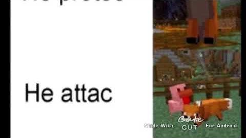 he protec, he attac, but most importantly...