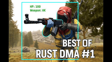 Best of Rust DMA-Cheating #1