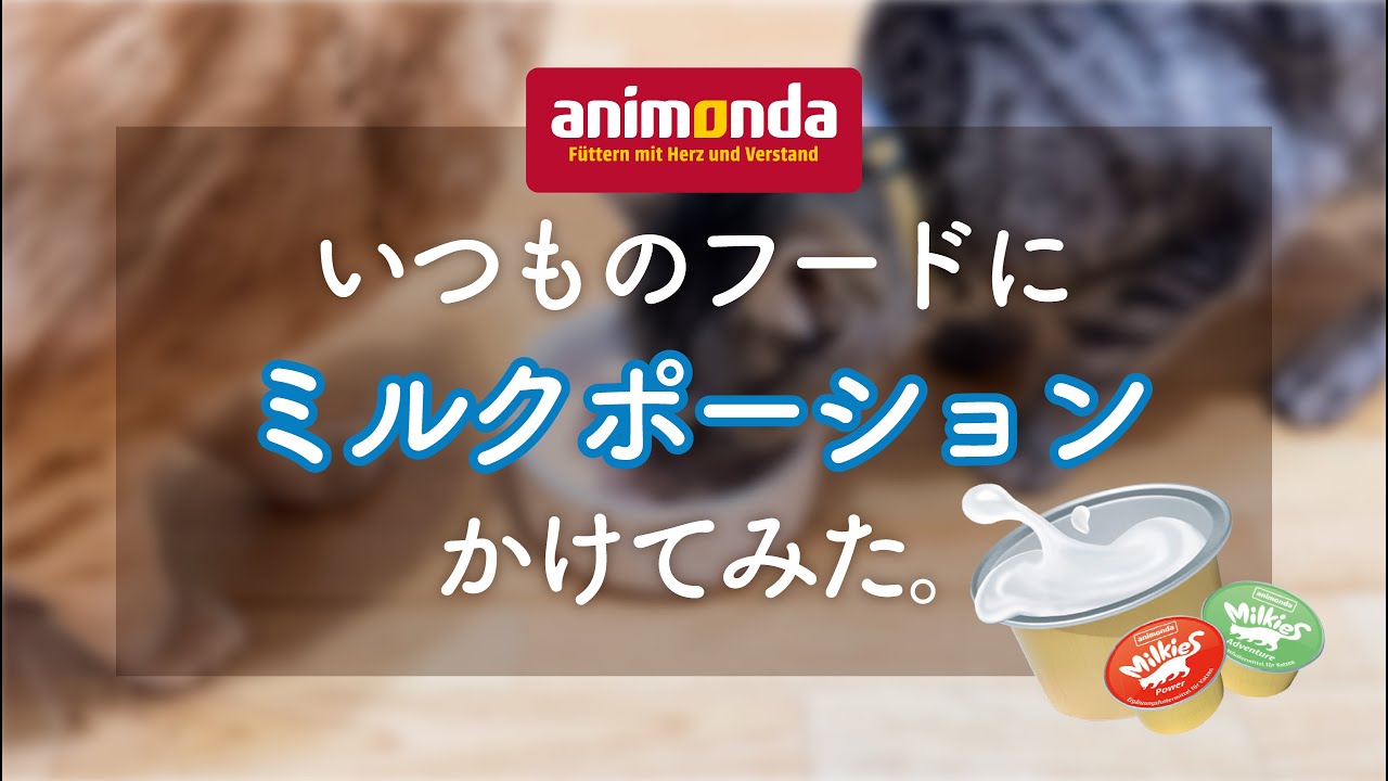 アニモンダ 猫用 ミルキース ミルクポーション バラエティ 15g×4カップ
