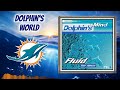 Dolphin&#39;s Mind - Dolphin&#39;s World