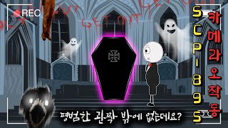 오직 카메라로만 볼 수 있는 관짝의 비밀 (SCP-895)