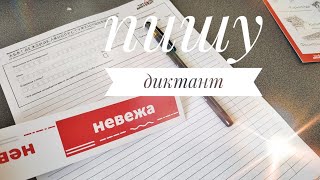 ТОТАЛЬНЫЙ ДИКТАНТ 2019 в Питере || Правила, текст, моя оценка