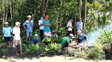 Săn Bắt Cá Nướng Ăn Tại Bờ Đê Đậm Chất Dân Dã Miền Tây/Fishing And Cooking/NGÃ NĂM TV