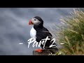 Exploring ICELAND in 3 Weeks - Part 2 (Snaefellsnes &amp; Westfjords) | Wizard&#39;s Hat, Puffins &amp; Dynjandi