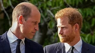 Royal Drama Unfolds: King Charles Snubs Prince Harry for Prince William&#39;s New Role