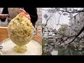 [오사카일상Vlog] 피스타치오 빙수 먹고 교토에 벚꽃 보러 간 일상