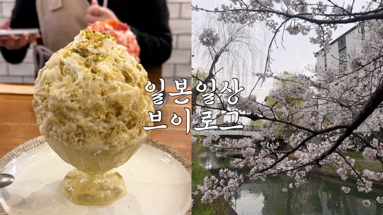 [오사카일상Vlog] 피스타치오 빙수 먹고 교토에 벚꽃 보러 간 일상