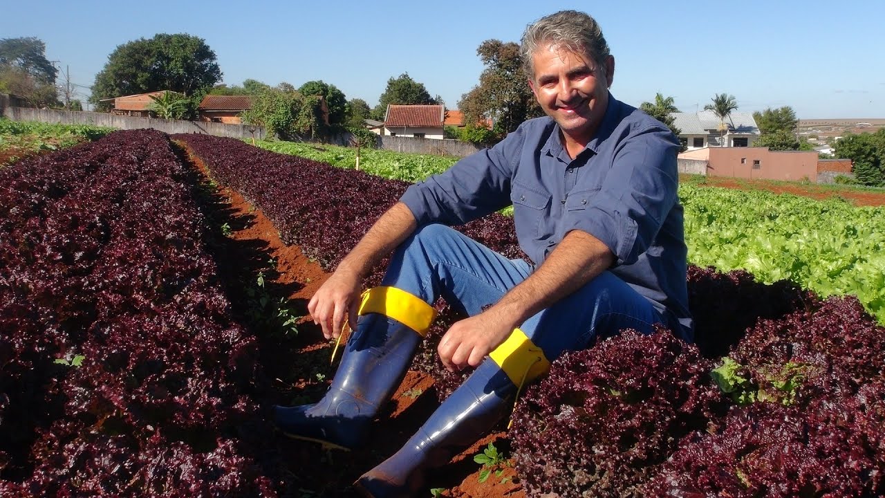 HORTALIÇAS NO INVERNO E COM TEMPERATURAS BAIXAS, É POSSÍVEL?