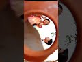 Saraswati Chandra #saraswati #love #shorts #shortvideo #viral #jenniferwinget #trending #serial