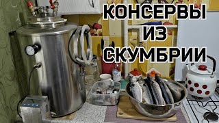 видео: Вкуснейшие домашние консервы из скумбрии (Рецепты для автоклава) картинка: Вкуснейшие домашние консервы из скумбрии (Рецепты для автоклава)
