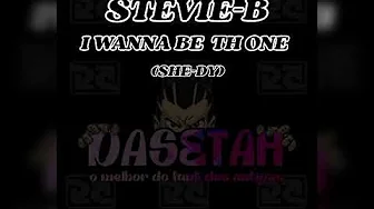 STEVIE - B - I WANNA BE THE ONE - (versao - she-dy) STEVIE - B - I WANNA BE THE ONE - (versao - she-dy)