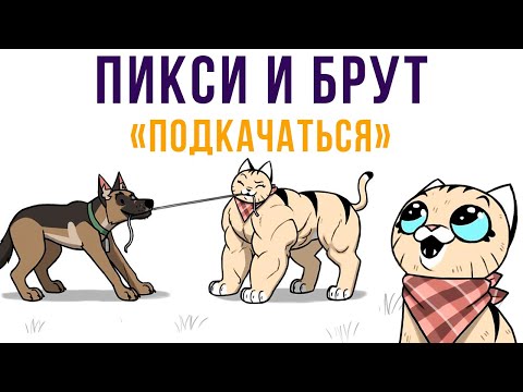 Пикси и Брут. Подкачаться) | Мемозг #451